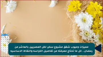 مميزات وعيوب شقق مشروع سكن لكل المصريين بالعاشر من رمضان.. كل ما تحتاج معرفته من تفاصيل الكراسة والنقاط الأساسية